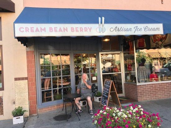 Cream Bean Berry